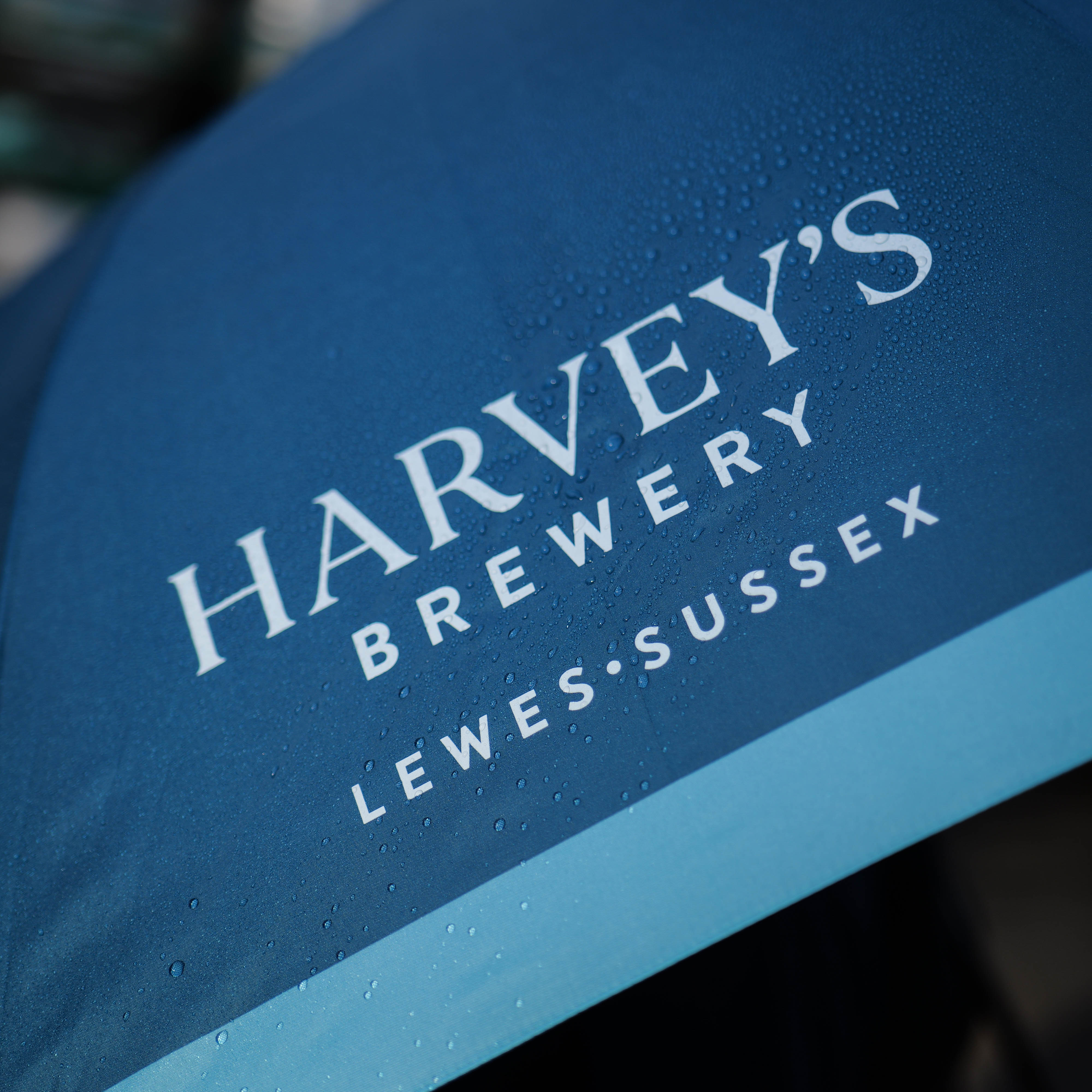 Harvey's Umbrella - Image 3